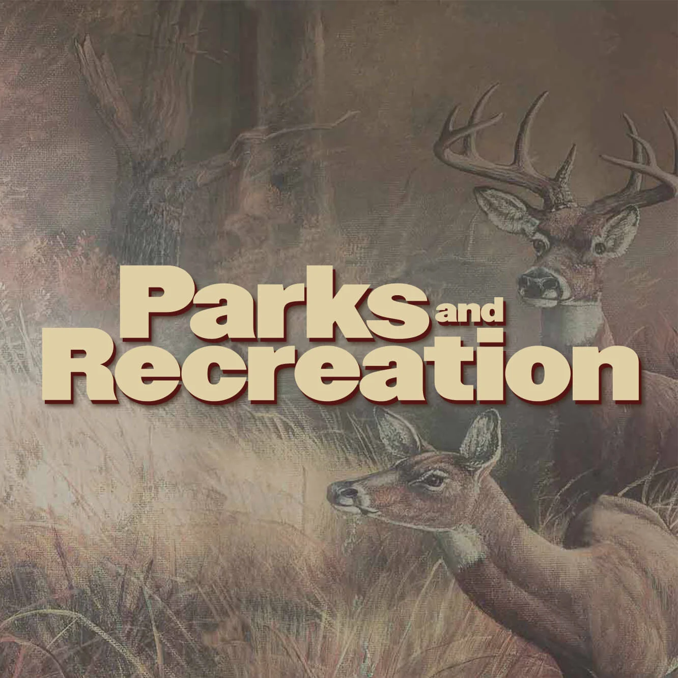 Parks and Recreation poster style illustration featuring deer in a muted woodland scene with bold beige title text