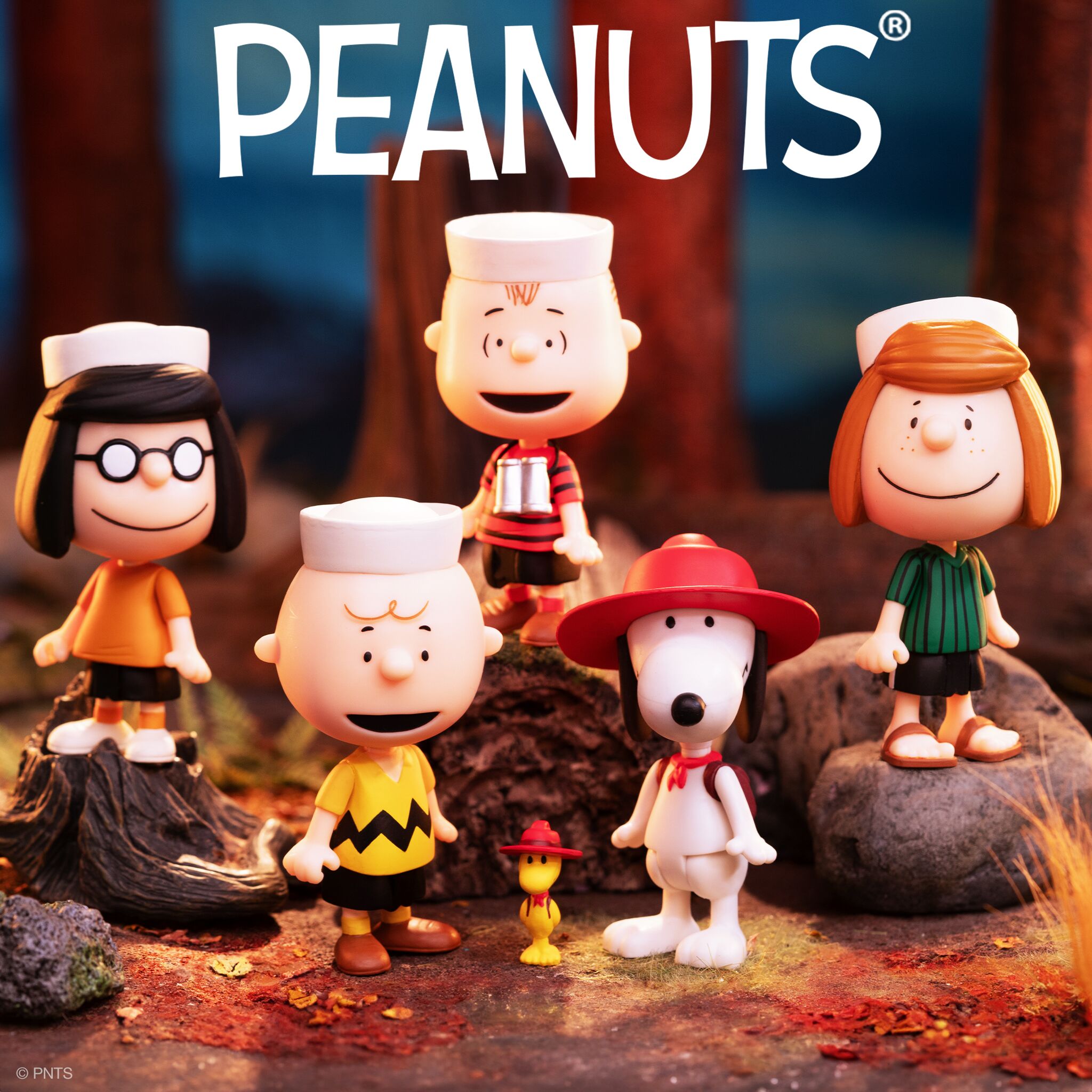 Peanuts Blind Box Wave 03 (Camp) - Blind Box Flat