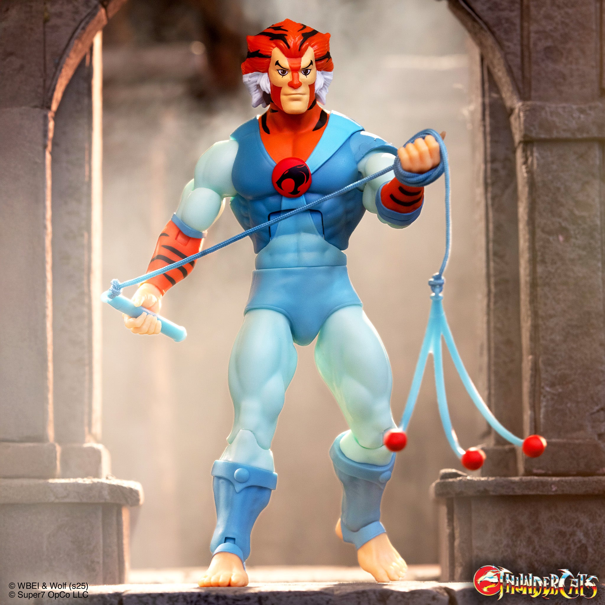 ThunderCats DELUXE Wave 02 - Tygra