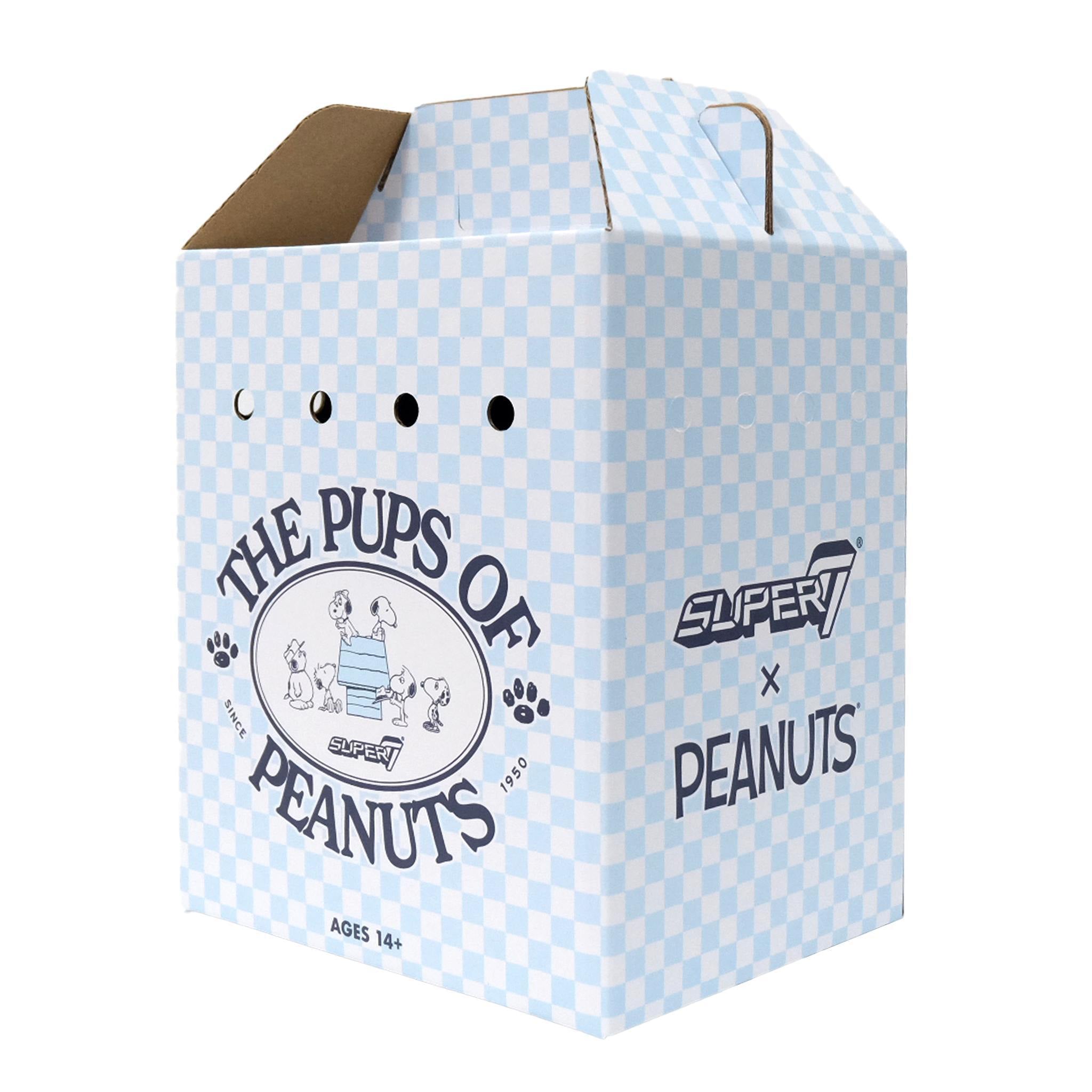 Blue checkered Peanuts gift box with dog illustrations and branding on a blue background