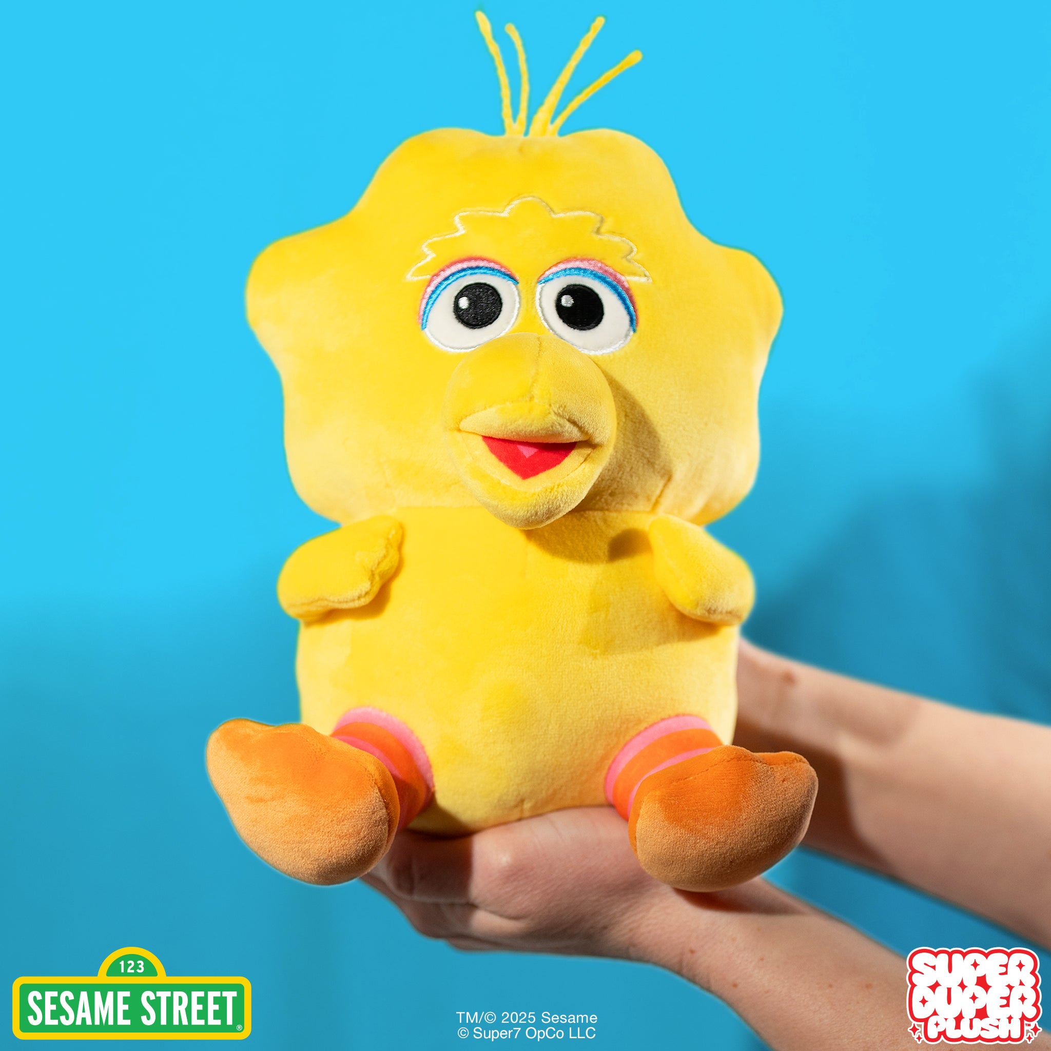 Sesame Street Super Duper Plush Wave 01 - Big Bird & Cookie Monster