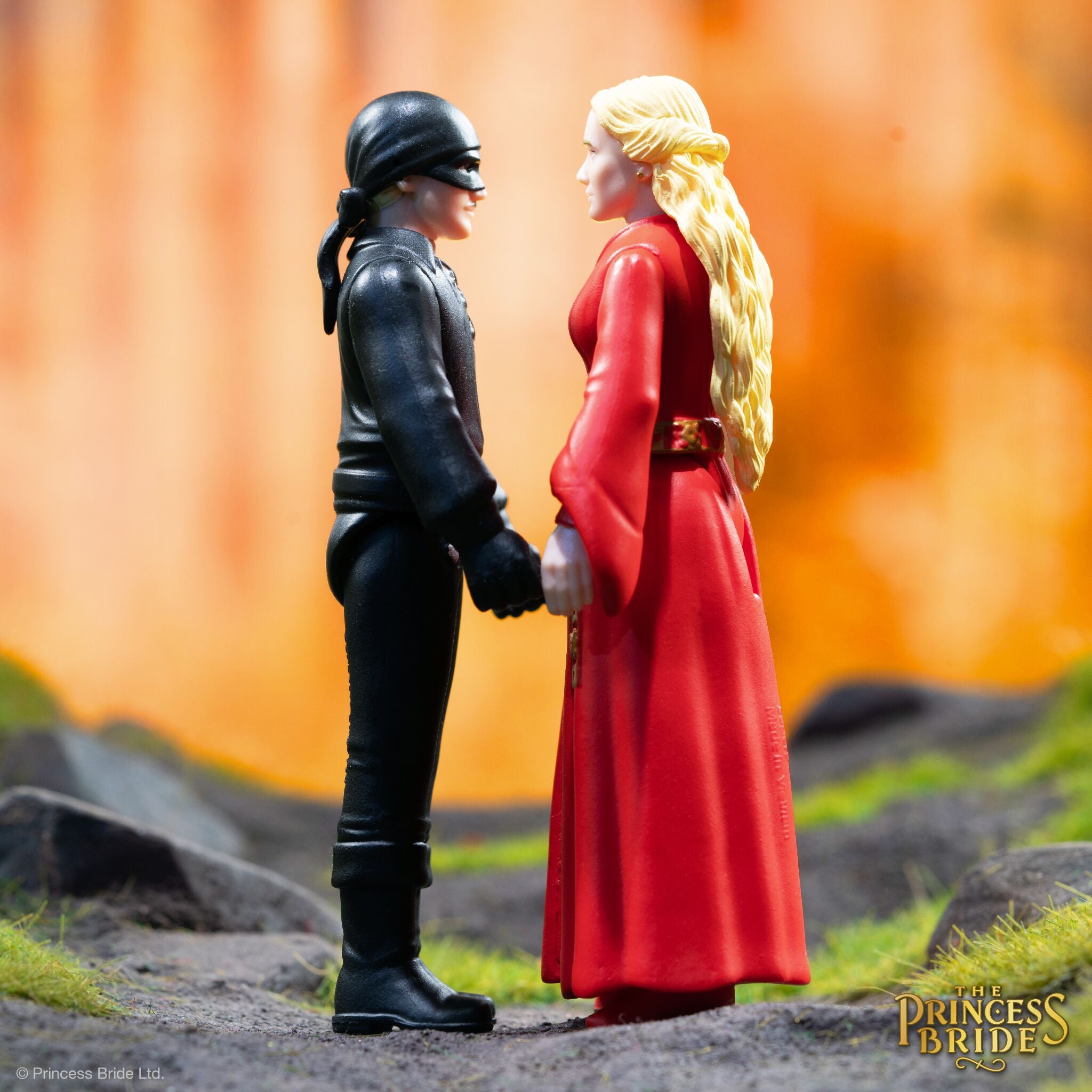 The Princess Bride ReAction Figures Wave 1 - Set of 5