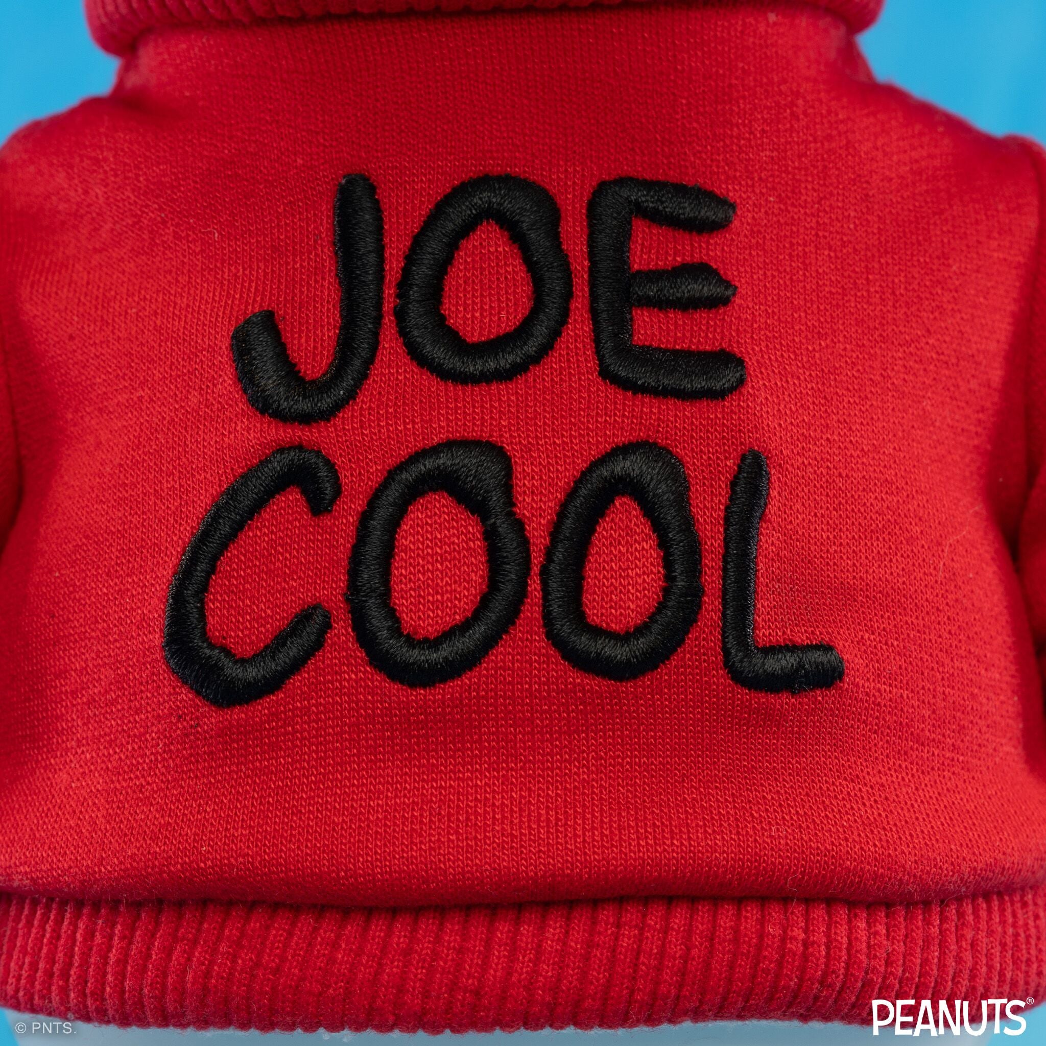Peanuts Joe Cool Gift Bundle