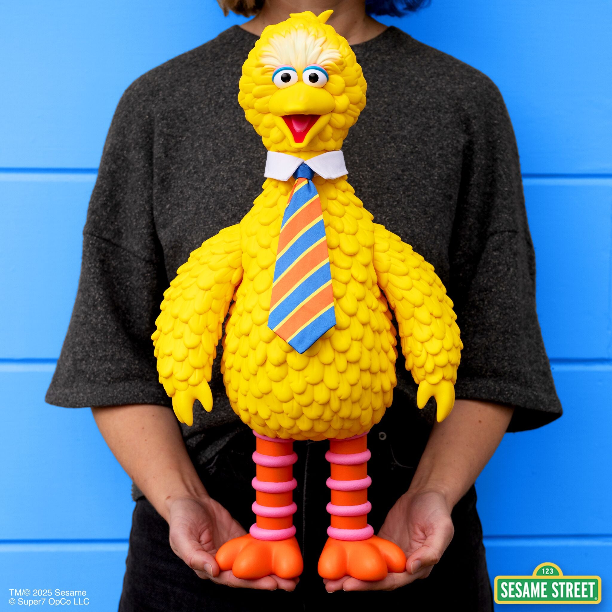 Sesame Street SuperSize Vinyl - Big Bird