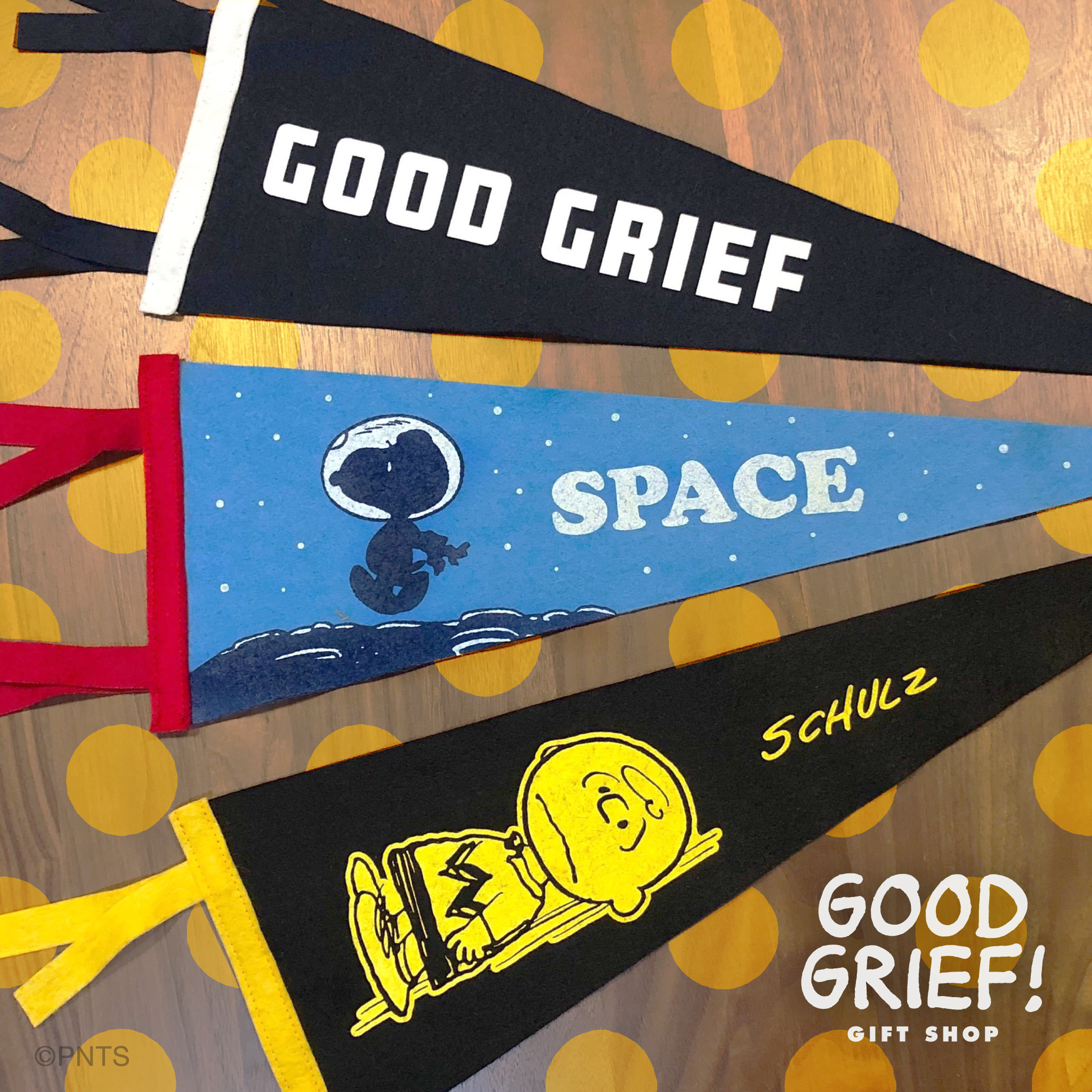 Peanuts Pennant - Laying Down Charlie Brown