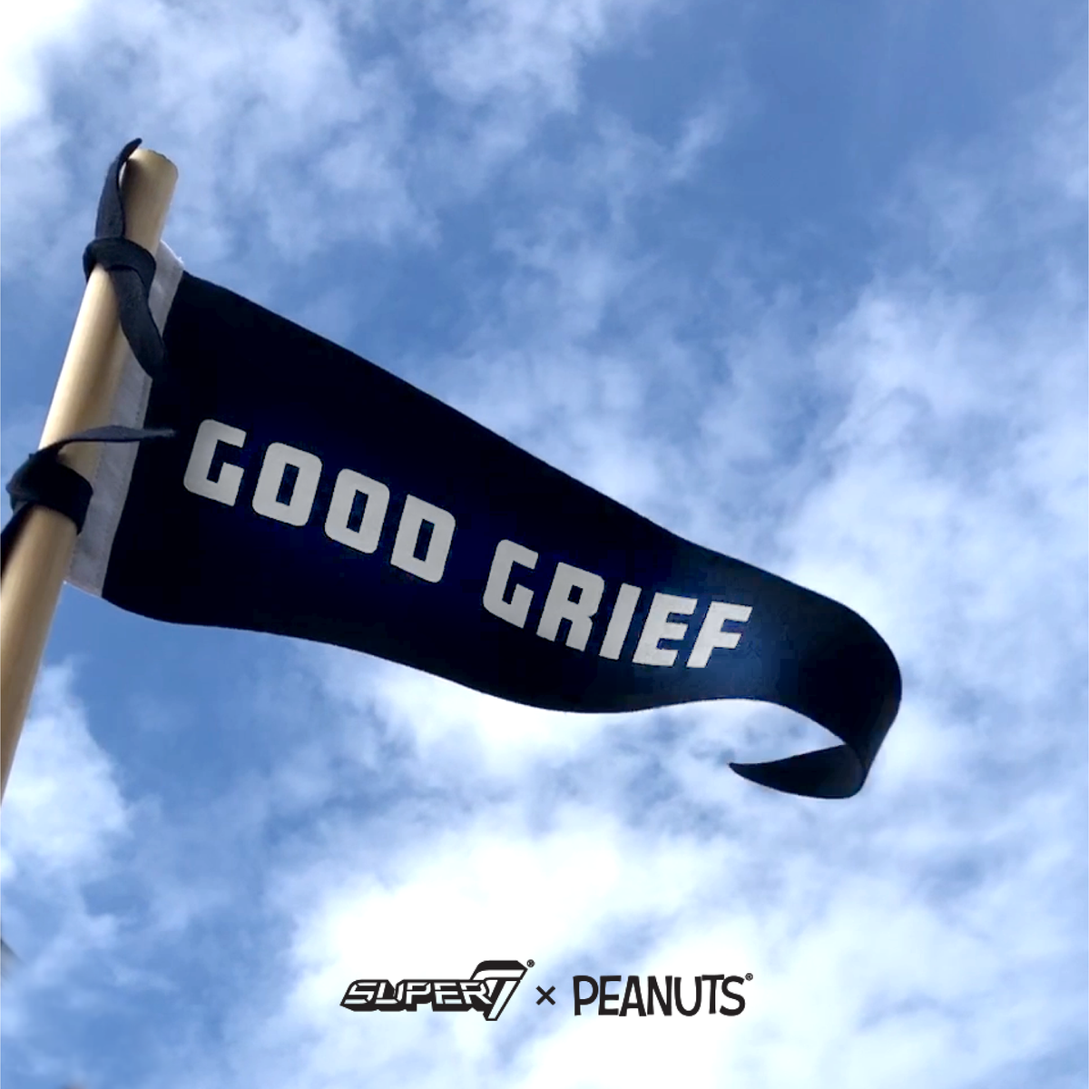 Peanuts Pennant - Good Grief