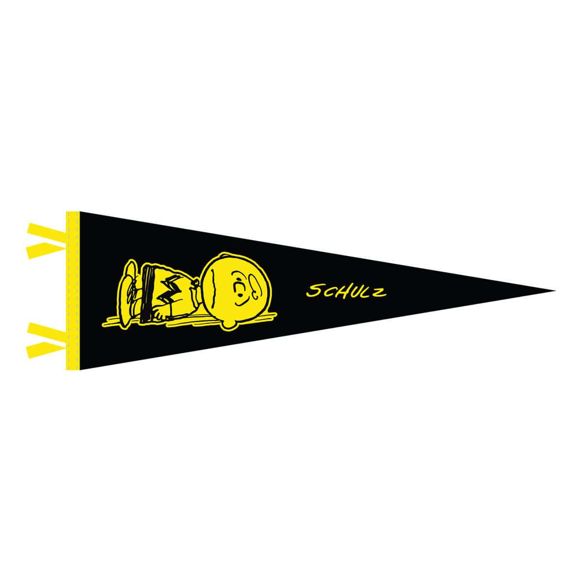 San Diego Wave Pennant