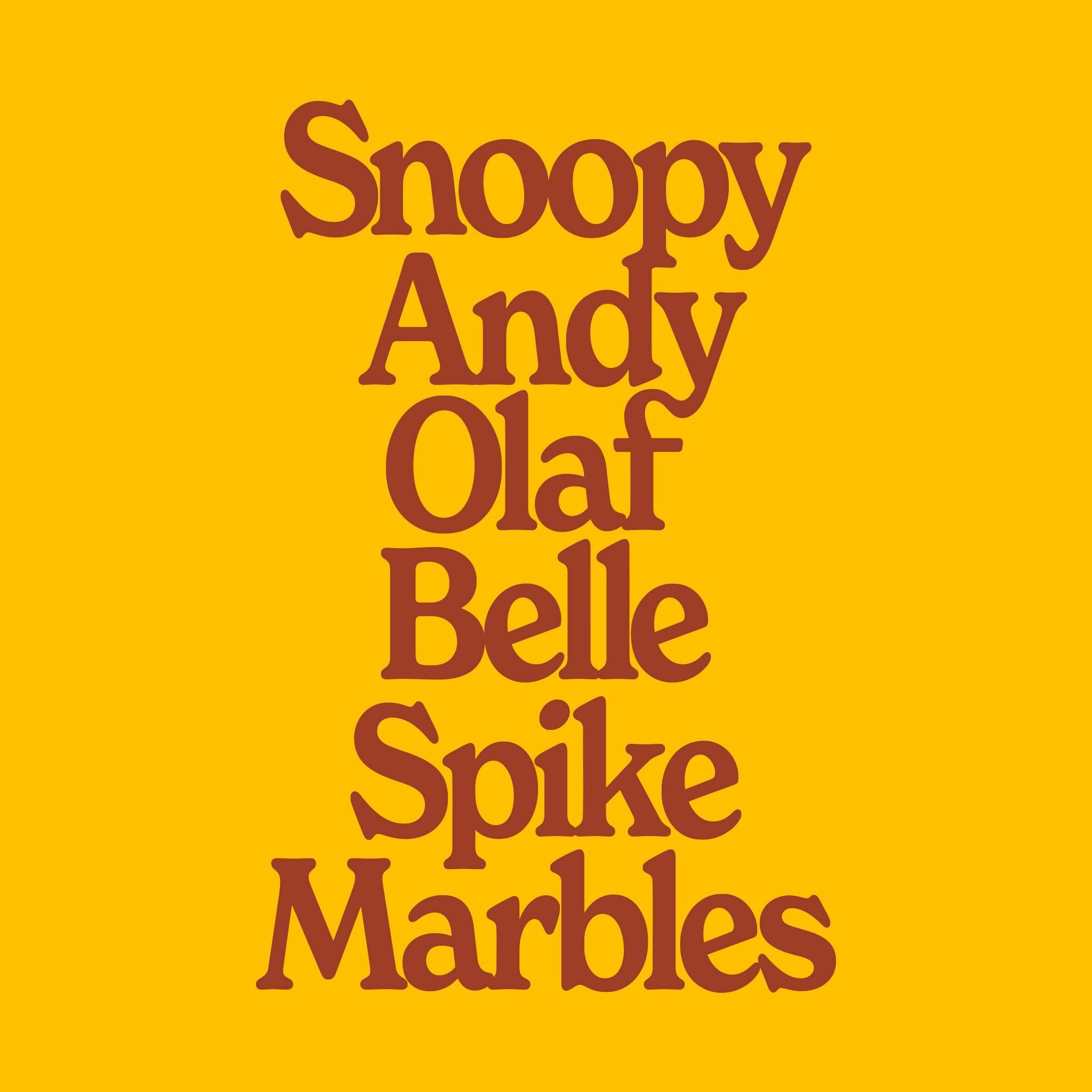 Vertical list of Peanuts character names in dark red on a bright orange hoodie