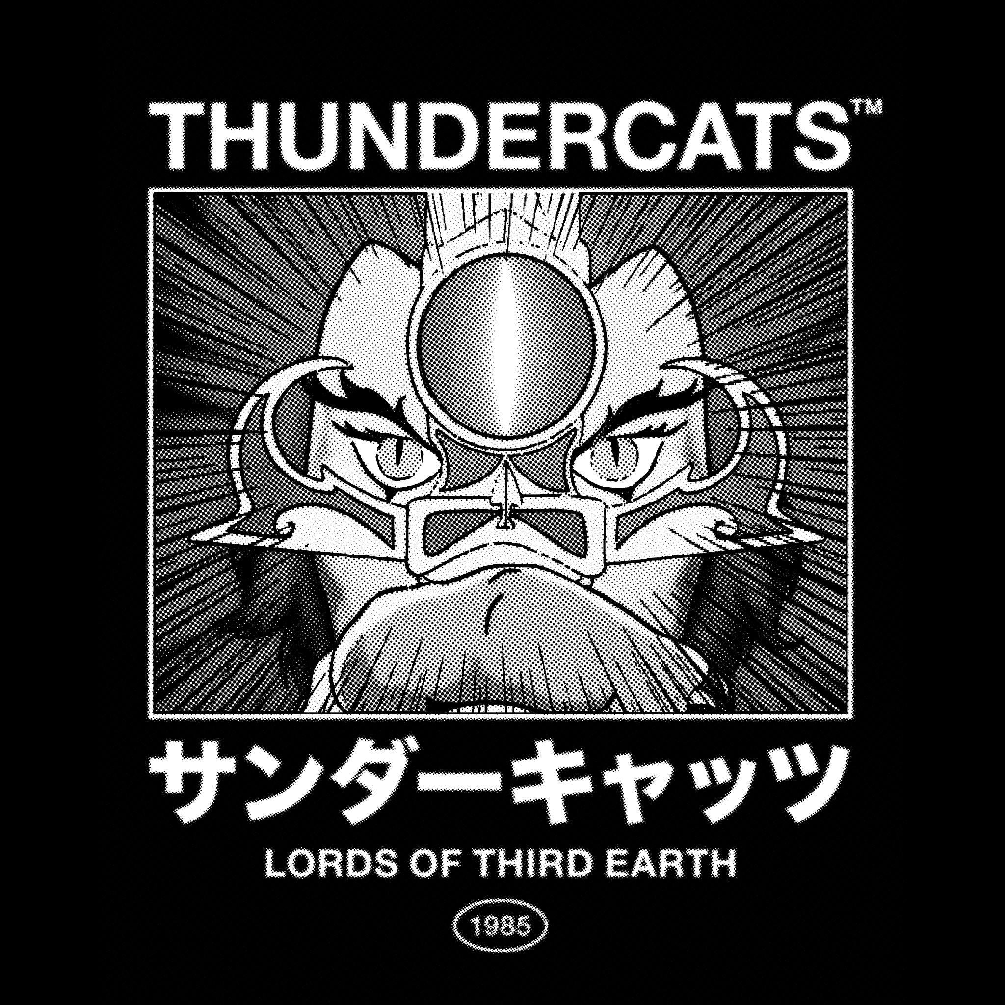 ThunderCats T-Shirts - Poster