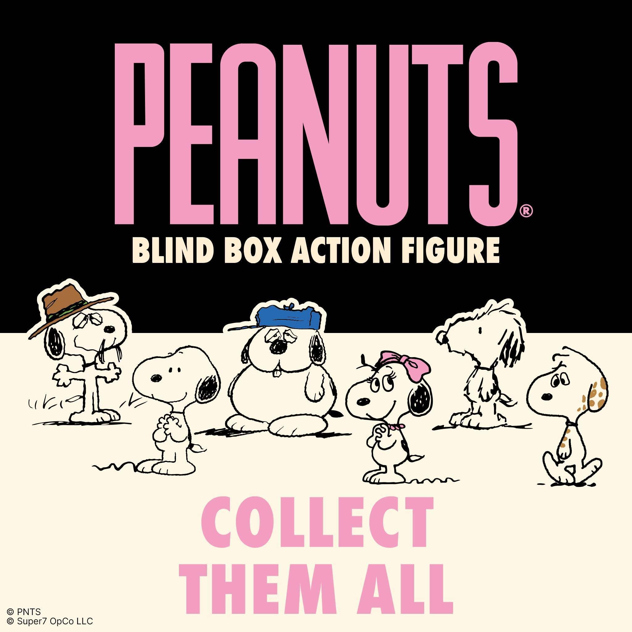 Peanuts Blind Box Wave 10 (Snoopy's Siblings) - Individual Blind Box