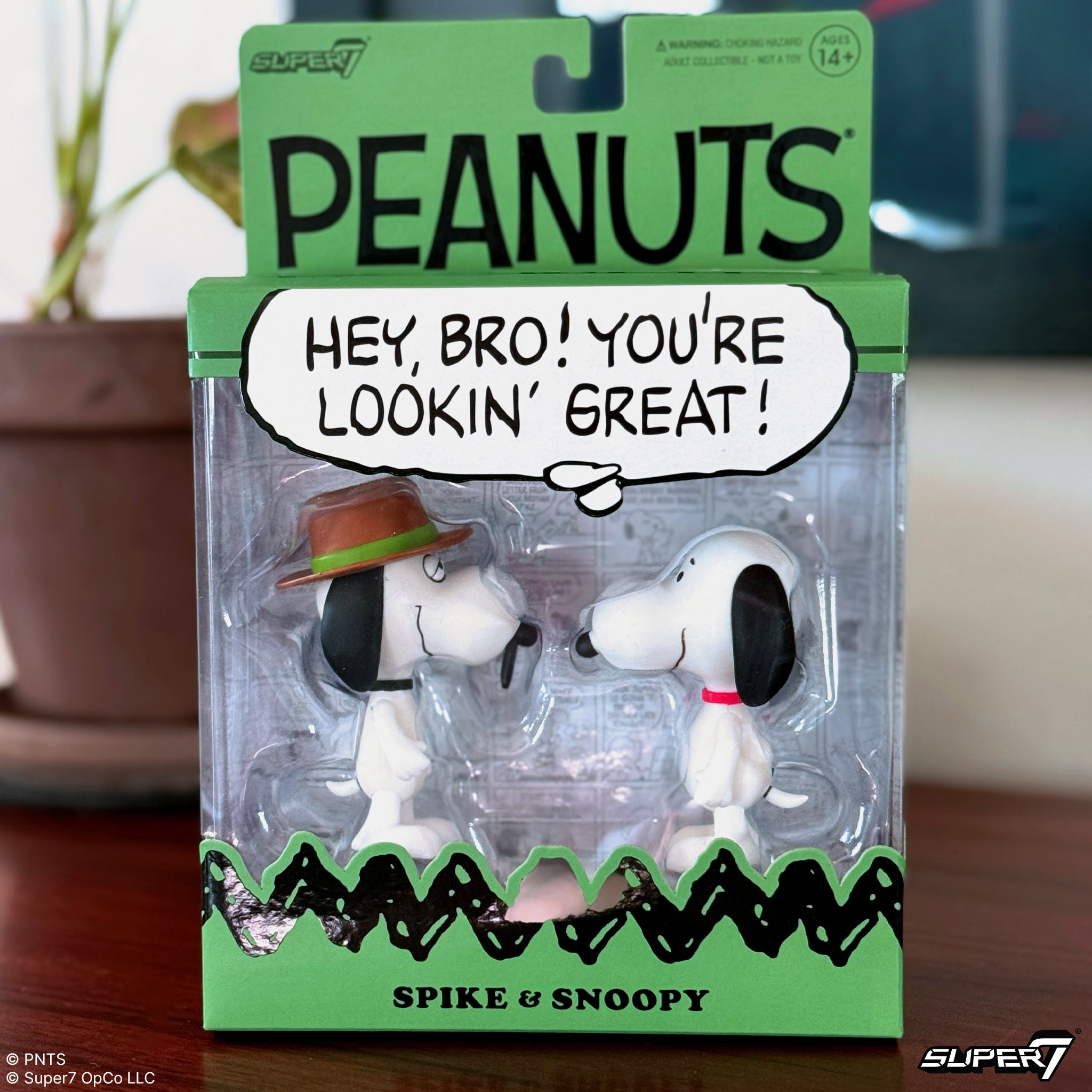 Peanuts Siblings Bundle featuring Snoopy and Spike figures in a green box