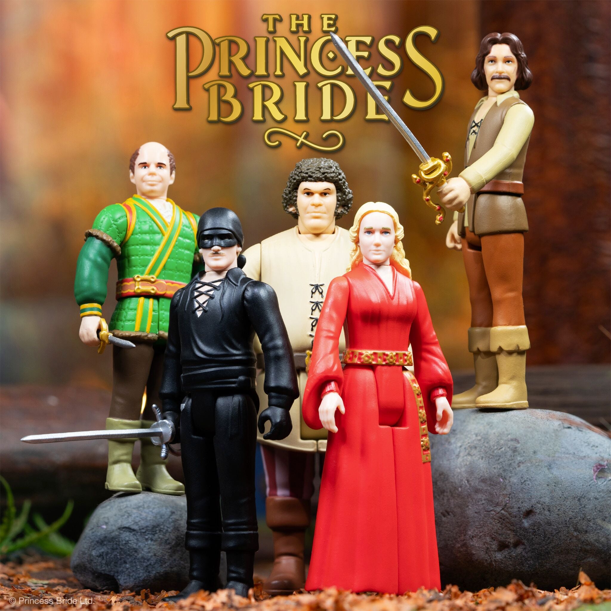 The Princess Bride ReAction Figures Wave 1 - Set of 5