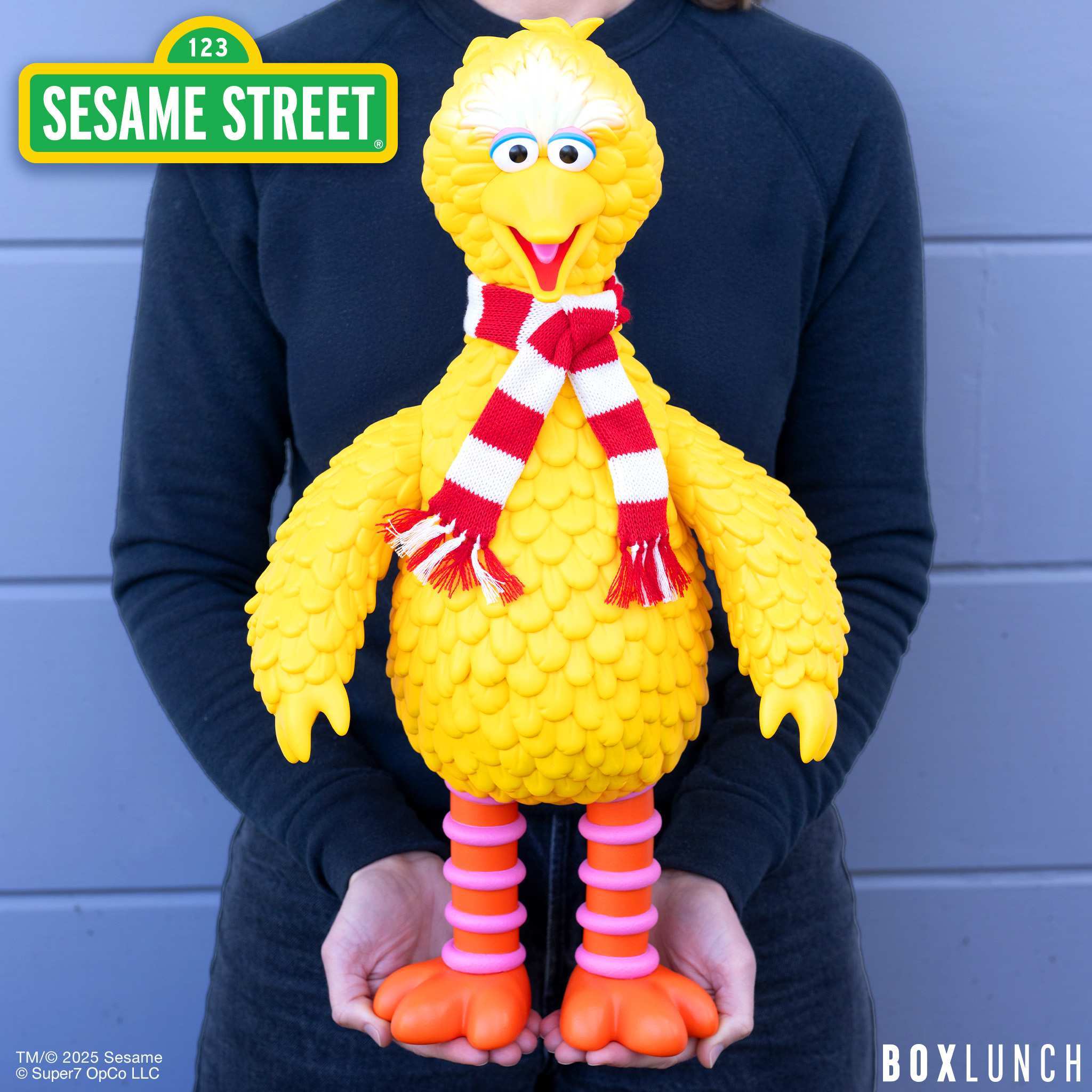 Sesame Street SuperSize Vinyl - Big Bird (Scarf)