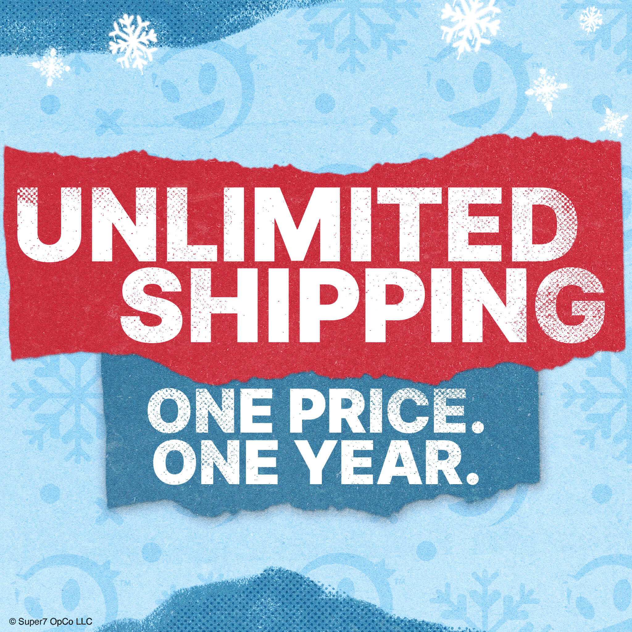 1 Year Free Shipping Membership